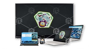 Интерактивное наглядное 3D пособие «Познание: Растения»