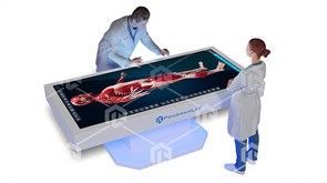 Интерактивный анатомический стол PL-Anatomy Tab Duo 5k с одним сверхширокоформатным экраном, металлический