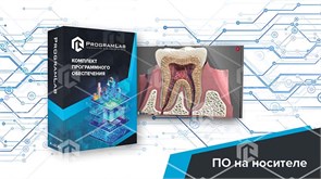 Виртуальный учебный комплекс «Виртуальный атлас строения зубов человека»